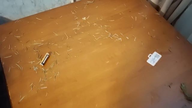 Наш день #562 Дети уехали. Убираю ёлку, навожу порядок в гостиной. Хочется цветов?