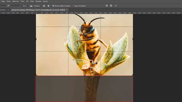 ¿Cómo RECORTAR FOTOS en Photoshop FÁCILMENTE? | 3 métodos diferentes смотреть онлайн