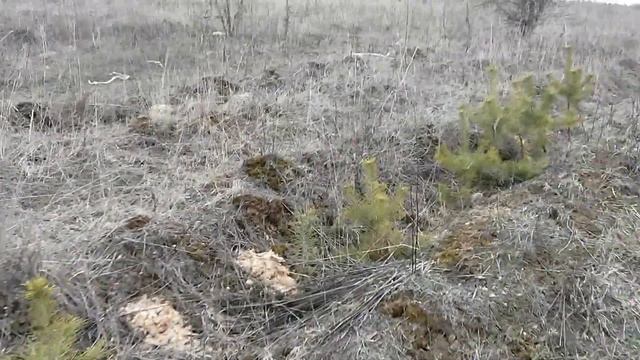 Заславские карьеры после оползня (карьеры в Хмелевке после обрушения 26.03.2016) смотреть онлайн