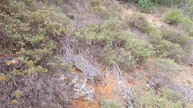 Крым. Медведь гора. Пешком на нудистский пляж Аю-дага. смотреть онлайн