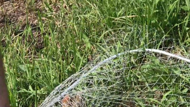 19.05.17 карп с 3-го ВИПа смотреть онлайн