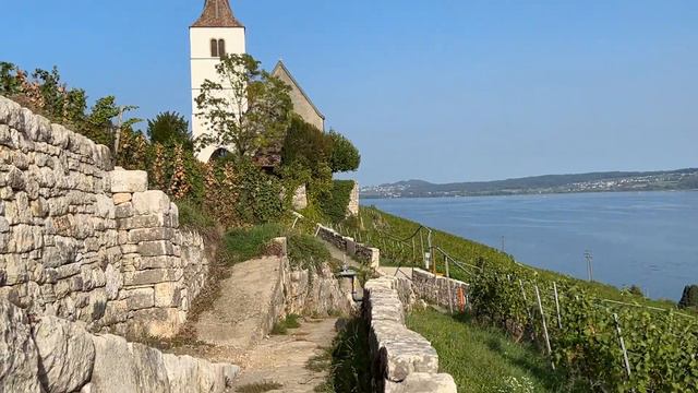 Вид с горы на Бильское озеро.Швейцария 🇨🇭 смотреть онлайн