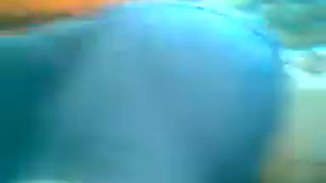 Наш друг спит