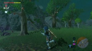 The Legend of Zelda: Breath of the Wild # 46  ☀ История Касса : прохождение ☀