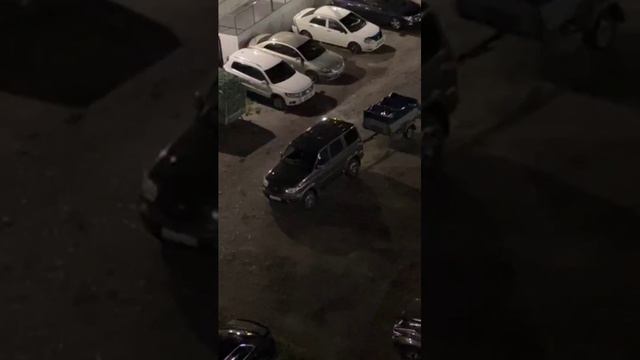 В ХМАО агрессивная бездомная собака напала на подростков смотреть онлайн