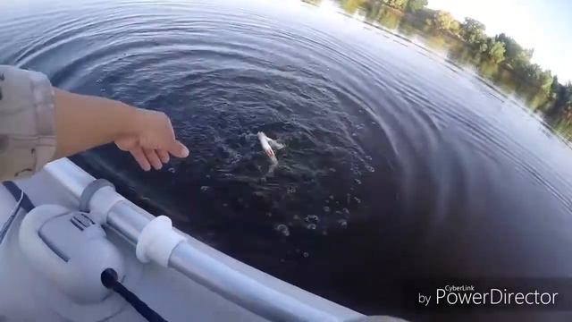 Ахтуба.Поймать Коле на уху. 6 августа 2017 смотреть онлайн