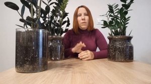 ГРУНТ для ЗАМИОКУЛЬКАСА. СОСТАВ и ПРОПОРЦИИ. Правильный грунт - залог успешной адаптации.