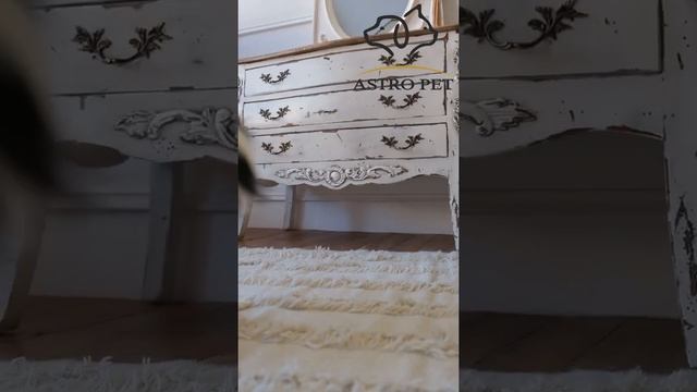 игрушка для животных осьминог смотреть онлайн