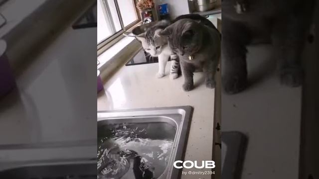 1610426972_looped_1610426971.mp4 смотреть онлайн