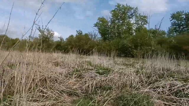 Коп с MD4030 НАШЕЛ БЛЕНДАЖ ВИНТОВКУ МОСИНА!!!!