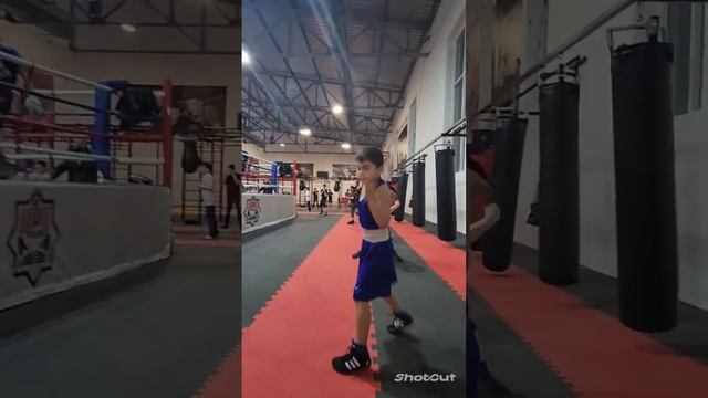 Зелим Билал?Чечня Грозный Шали Бокс ?? смотреть онлайн