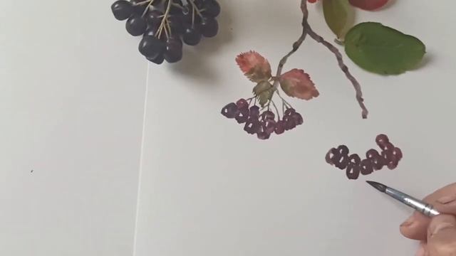 Мастер-класс "Рисуем ветку черноплодной рябины". смотреть онлайн