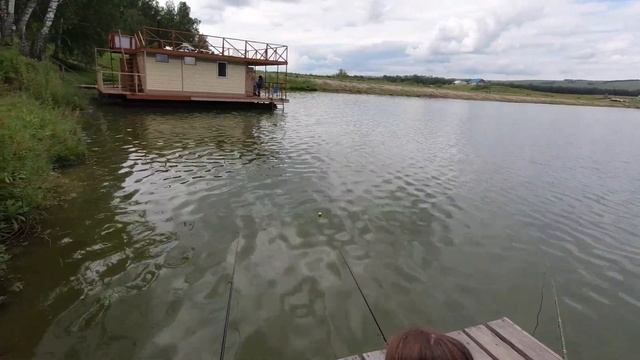 #ЛыткинскийПруд #ШушенскийРайон #Рыбалка Пруд "Лыткинский" Шушенского района часть 1. смотреть онлайн