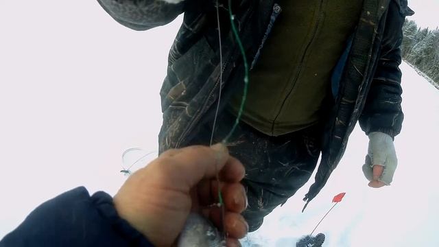 Рыбалка на лесном озере жерлицами. смотреть онлайн