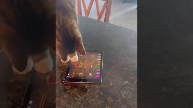 Все сам! смотреть онлайн