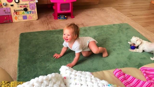 Malyshka Anet весело играет с собакой, пытаясь догнать и отобрать мячик. Игры с собакой дома смотреть онлайн