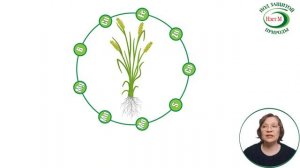 Вопросы и ответы Цитовит