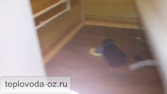 Тепловода-оз.ру Септик из бетонных колец под ключ, какой септик выбрать в Воскресенске смотреть онлайн