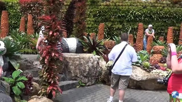 Orchid Garden: Heaven on Earth смотреть онлайн