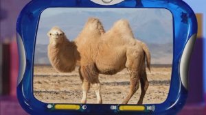 ✨Спокойной ночи, малыши!✨ Корабль пустыни