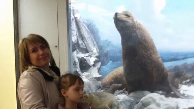 2015-01-31 Музей истории Украины смотреть онлайн