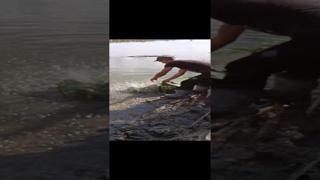 Улов на Донки на Реке за два дня. смотреть онлайн