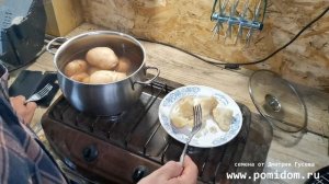 Сарпо Мира дегустация сорта картофеля победившего фитофтору