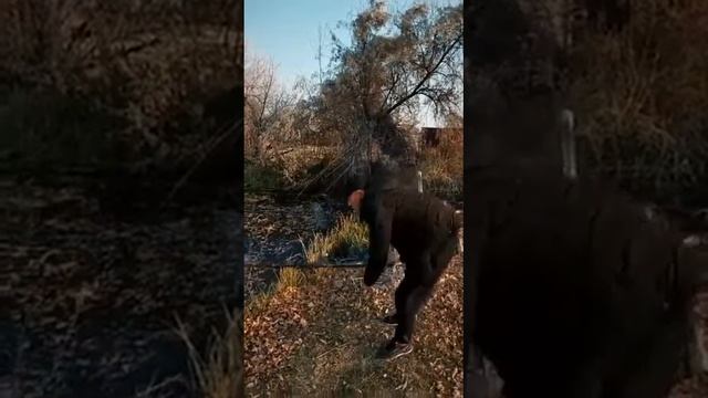 Приколы, рыбалка, приколы на рыбалке смотреть онлайн