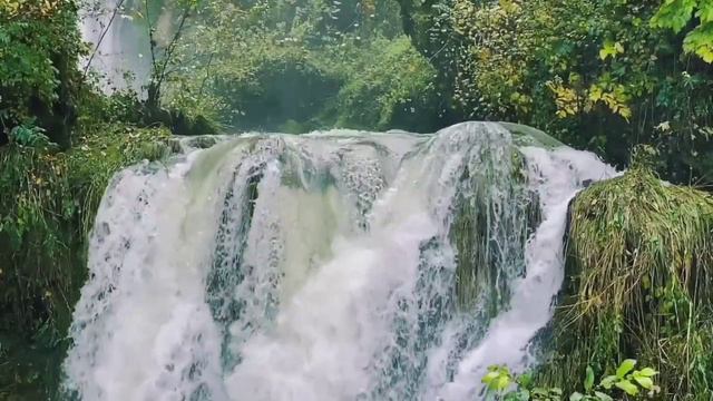 🔊 Очень эффективное чтение для защиты 7х Суры Фатиха, Аяталкурси, Ихлас, Фалак, Нас #quran #коран