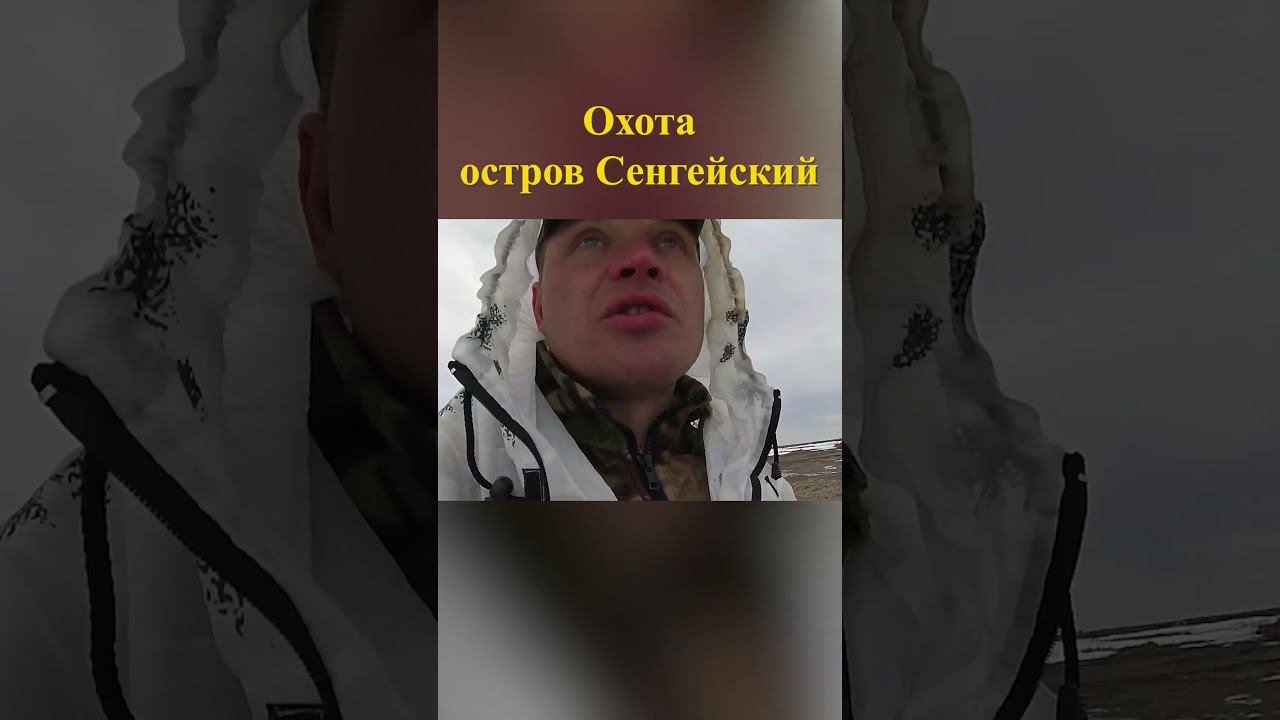Охота на острове Сенгейский 7 #охотанагуся #охотавроссии смотреть онлайн