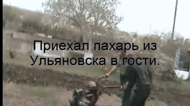 Местные пахари (вспашка земли)