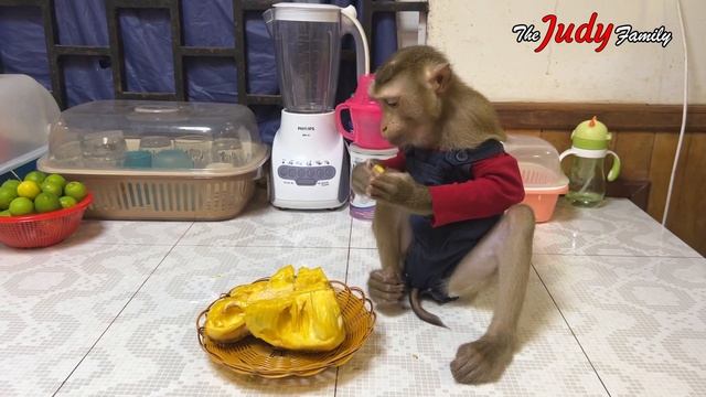 Judee Only Funny Unique Gesture React When She Want A DRNK смотреть онлайн