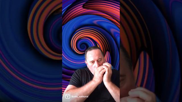 #bluesharmonica #harmonica #music #vibes #japan #america #judo #lifestyle #mma смотреть онлайн