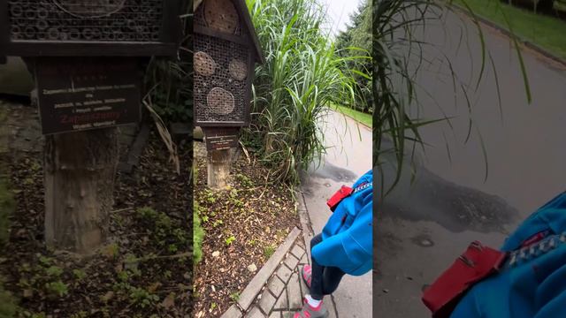 Что посетить в Варшаве? Поездка в Зоопарк. Варшава. Путешествие в Польшу . Отдых с ребенком смотреть онлайн