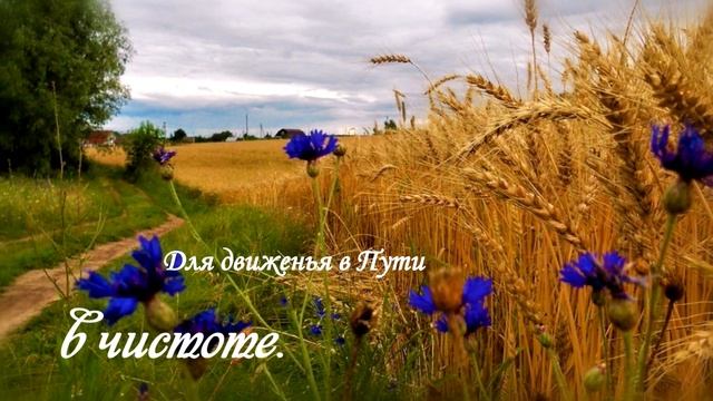 ВАСИЛЬКИ смотреть онлайн