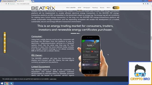 Разбор ICO BEATRIX от CRYPTO BRO | Идея проекта, команда, перспективы смотреть онлайн