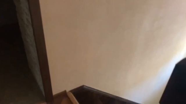 Обзор дома смотреть онлайн