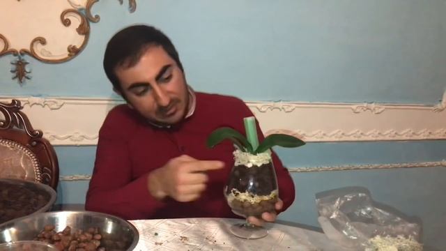 Посадка Сого Юкидан в закрытую систему! смотреть онлайн