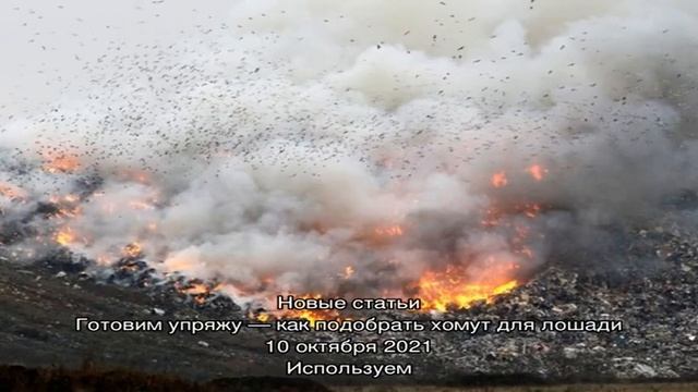 Печь для сжигания мусора на даче из бочки смотреть онлайн