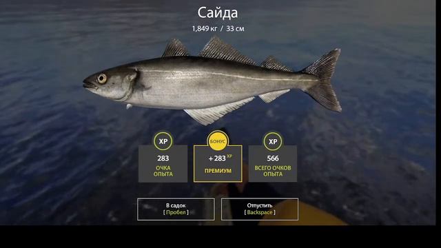 Основной.РР4 МОРЕ прокачка русская рыбалка4 КЗ смотреть онлайн