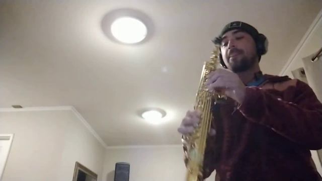 My heart will go on (Titanic) - Soprano sax смотреть онлайн