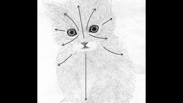 Как нарисовать маленького котенка!!!! смотреть онлайн