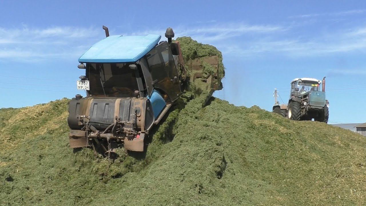 АГРОМАШ 90ТГ и ХТЗ 17221 на трамбовке силоса смотреть онлайн