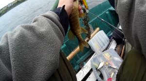 Megabass ITO SHINER 115sp. Ловля щуки!