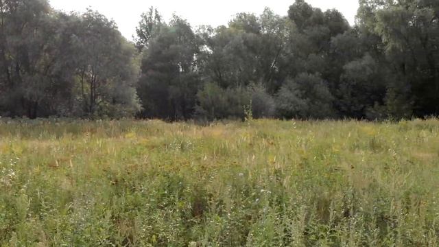 Крылатское, гребной канал, велотрасса смотреть онлайн