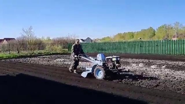 Мотоблок Скаут.Обработка фрезой, после плуга. смотреть онлайн