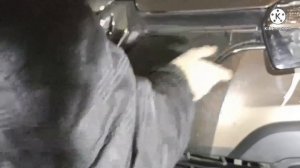 Утепление решетки радиатора. Защита радиатора. Уменьшение расхода топлива.