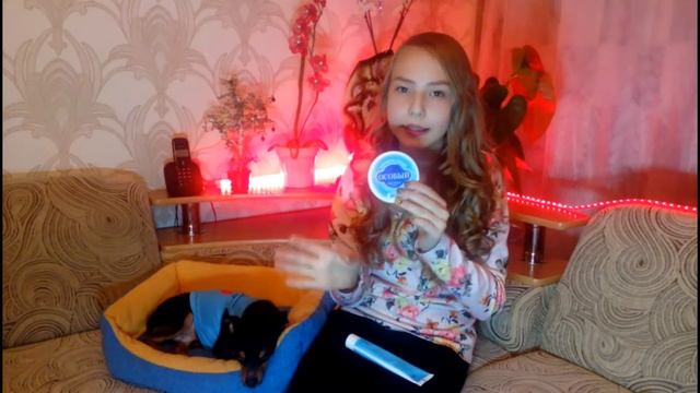ЧИСТИМ ЗУБЫ собаке/ЧИСТИМ ЗУБЫ/проводим ЭКСПЕРИМЕНТ/Той- терьер Тайсон. смотреть онлайн