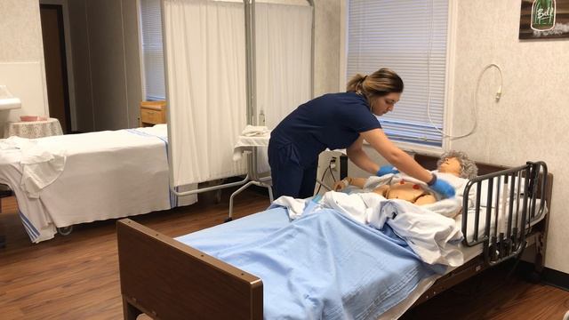 CNA SKILL: CATHETER CARE смотреть онлайн