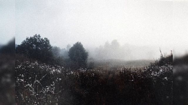 [FREE] PHARAOH x ДЖИЗУС x ВЫШЕЛ ПОКУРИТЬ x WHITE PUNK TYPE BEAT - 'клубника' смотреть онлайн